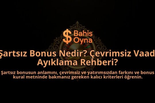 Sartsiz-Bonus-Nedir-Cevrimsiz-Vaadi-Ayiklama-Rehberi-overlay-1788114443.jpg